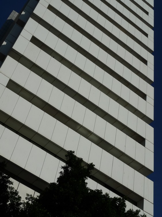 Lines Of Tel Aviv - 7
