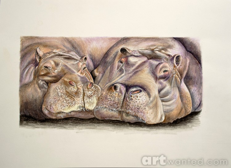 Relaxing Hippos