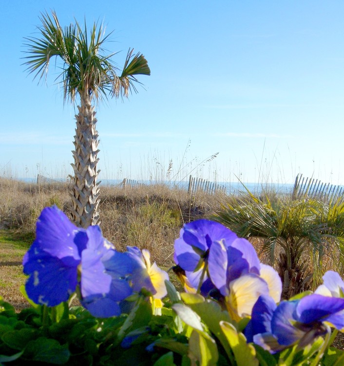 Beach Blue