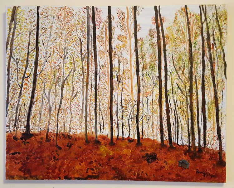 Fall colors