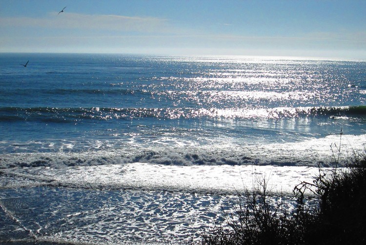 Two Birds Over Glistening Waters