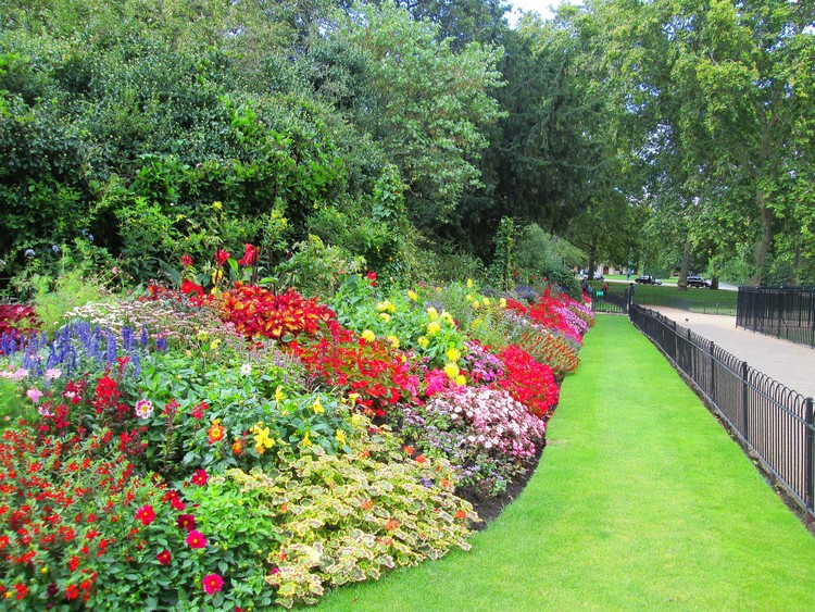 Flowers in St. James Park, London