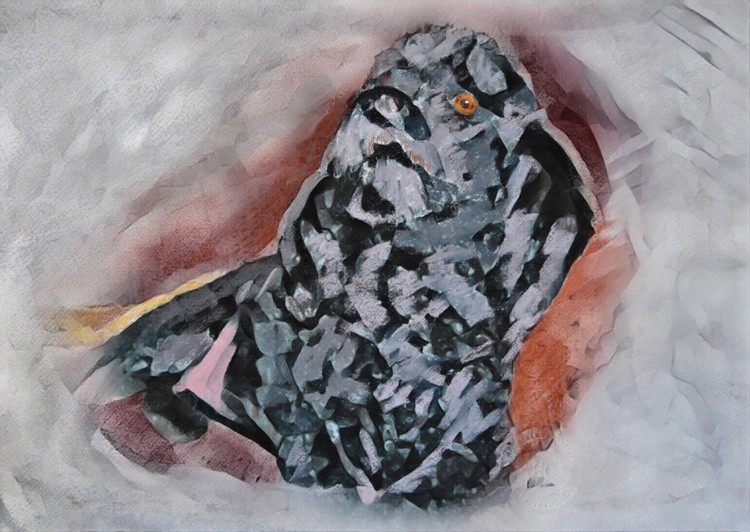 AW 0843 PEMAW ACRYLICS