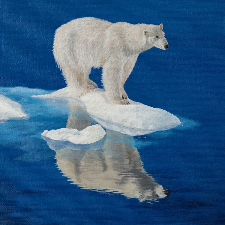 Polar bear