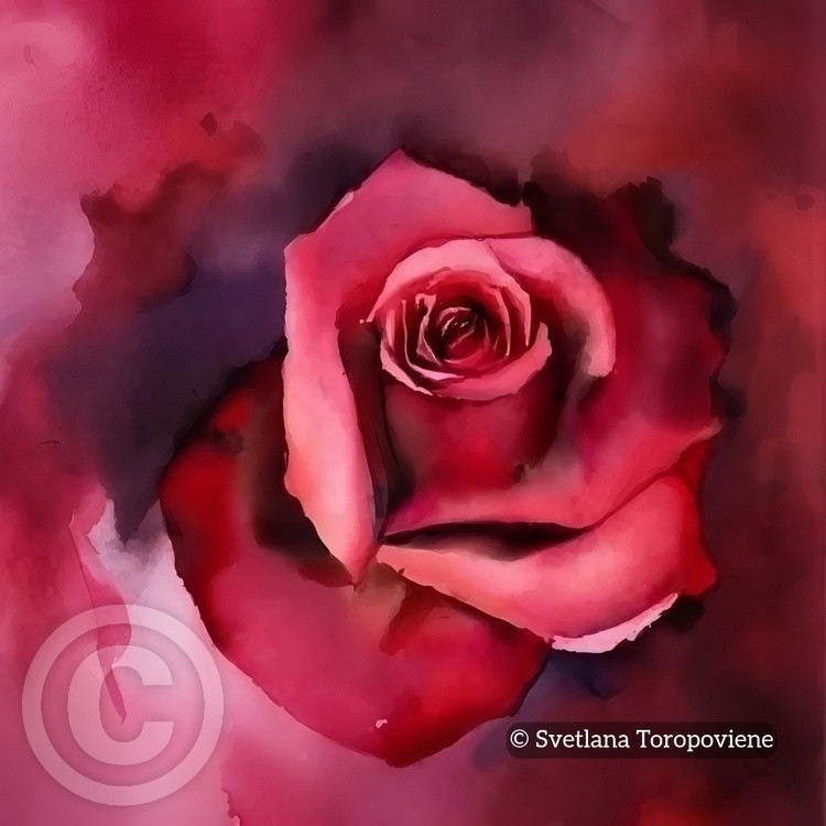 Rose