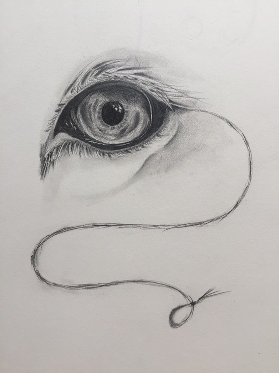 ‘Lion’s Eyeleash’ 