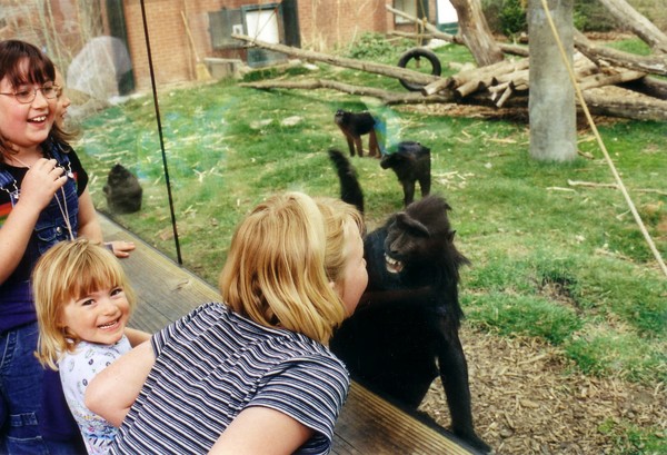 Monkeys