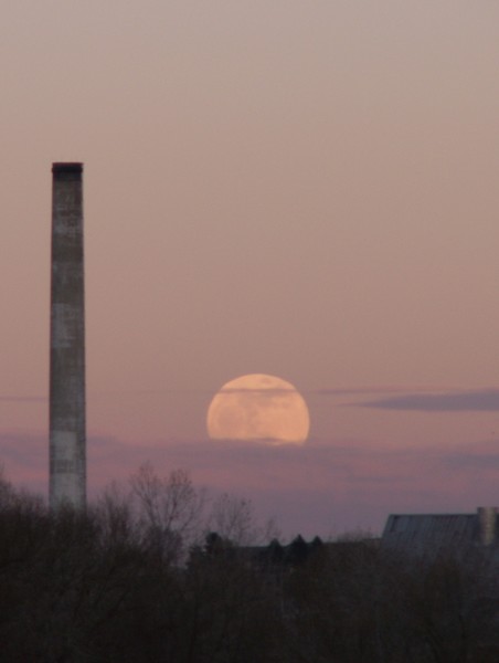 It's a Marvelous Night for a Moon Dance!