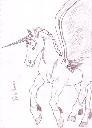 Unicorn