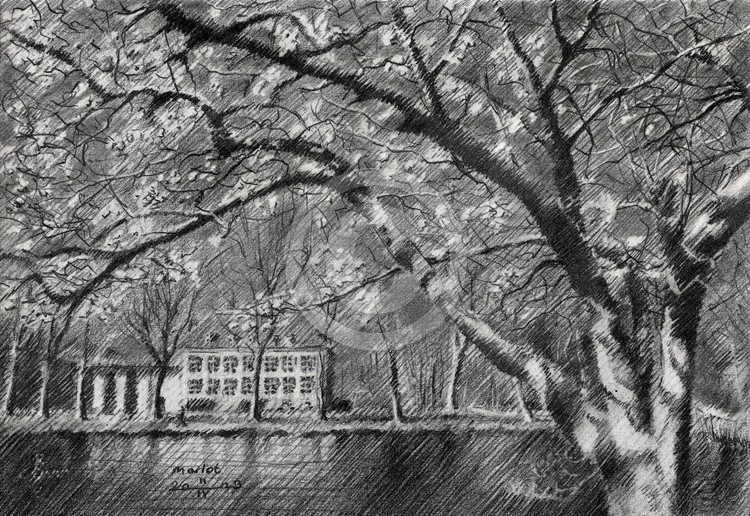 Marlot – 11-04-23