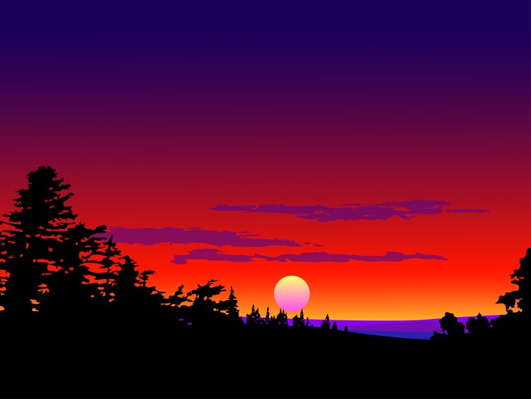 forest sunset