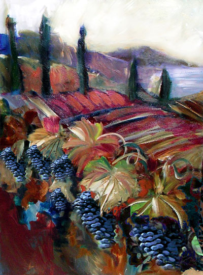 grapes on the vine