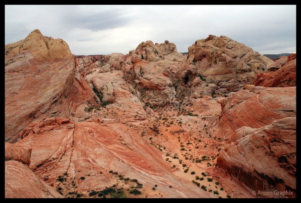 Valley of Fire Vista
