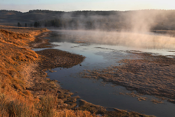 Morning in Hayden Valley