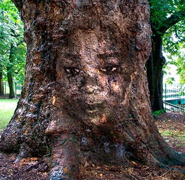 Human n Nature