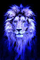Lion 2