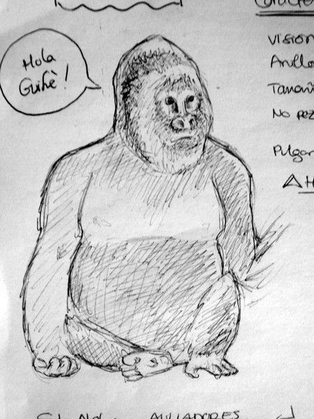 Gorilla