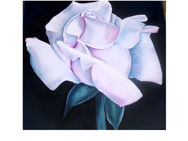 White Rose done from Thea's photography