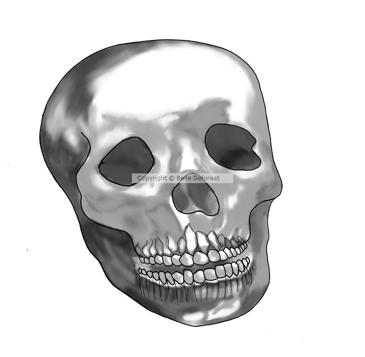 Darkside Skull