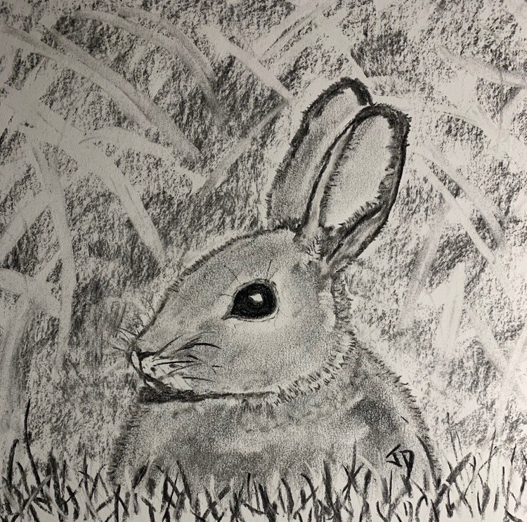 Bunny in the yard 2020