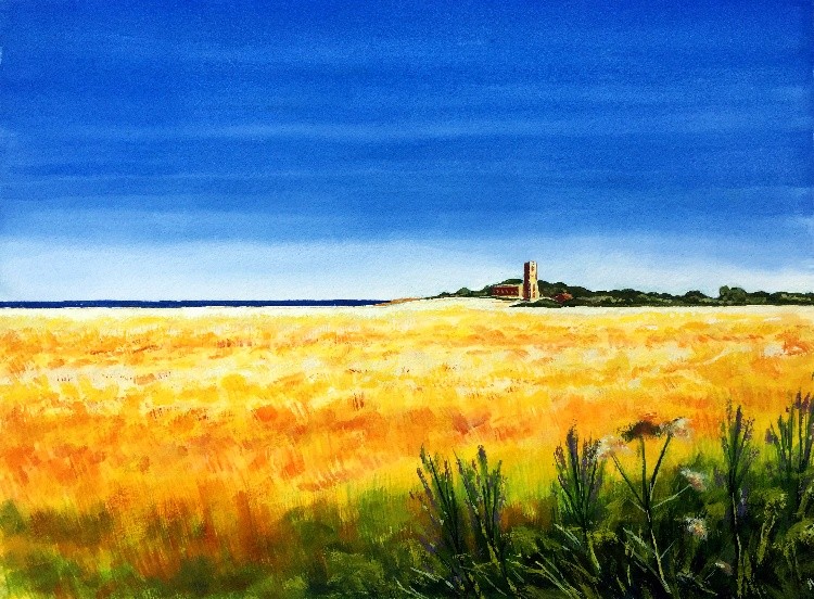 Summer Cornfield