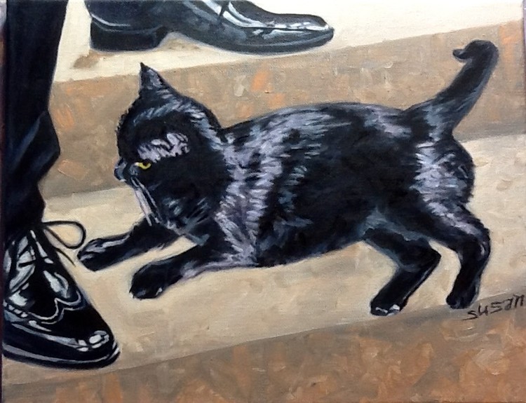 Father's Church Cat