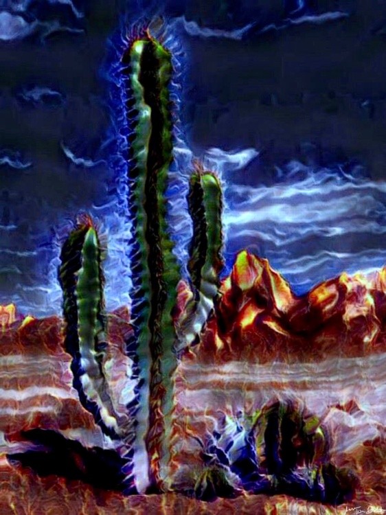 Desert Bathed in Moonlight
