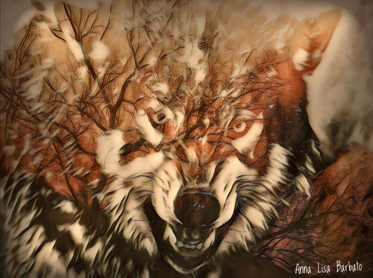 Timber