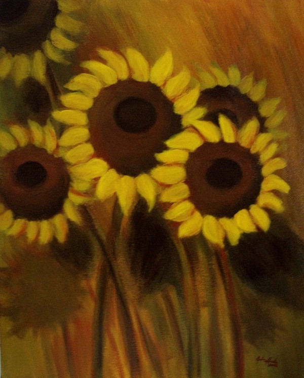 Sun Shadows