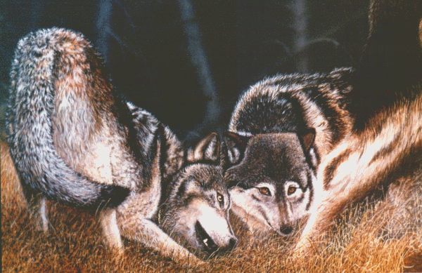 detail - 
