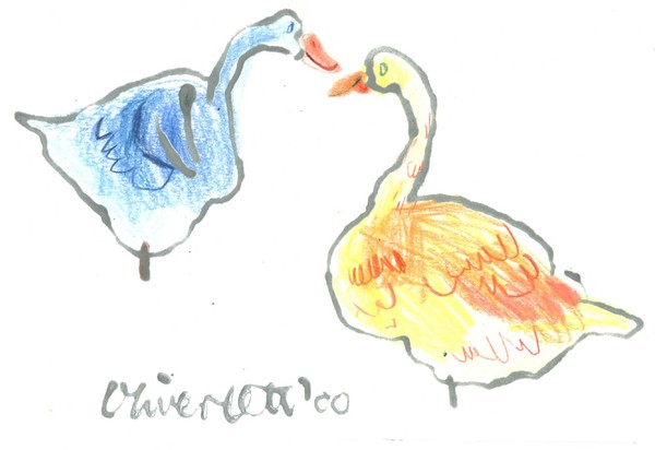 Geese