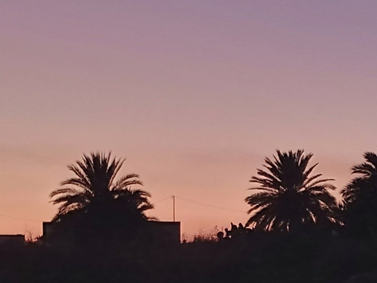 IMG 20211214 172837 386
