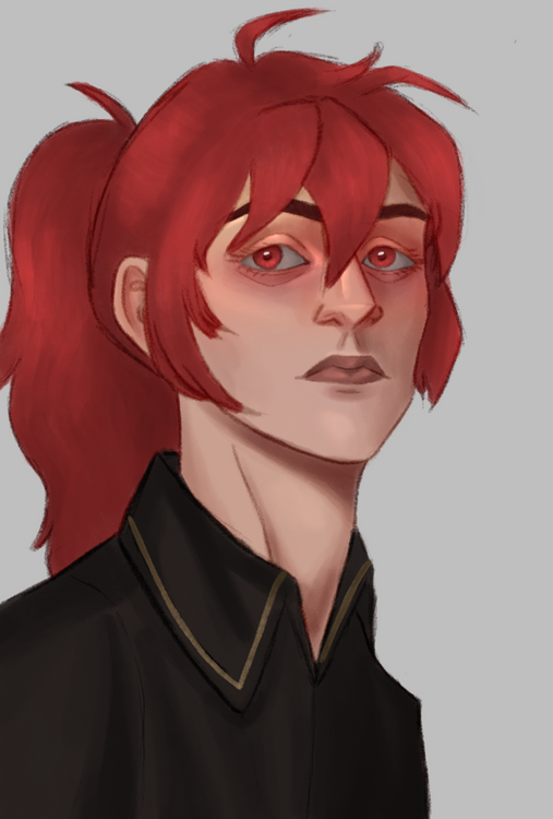 Nobleman's portrait