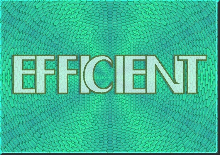 #EFFICIENT