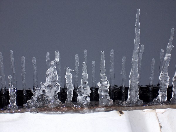 Ice Guardians