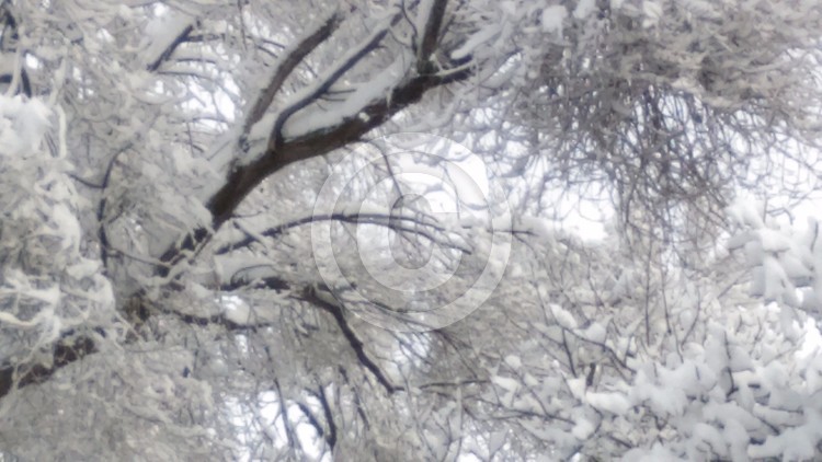 winter 2015