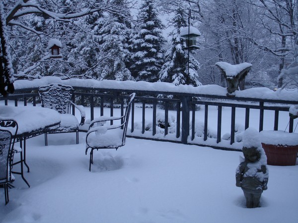 Back Yard Winter View