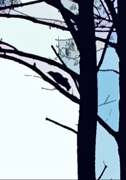 The Old Crow