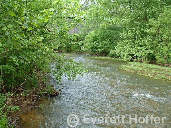 Water Under the Bridge