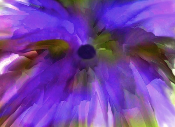 Flower 2a