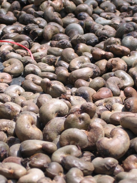 Nuts