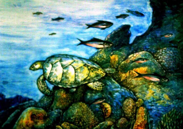 crying turtle