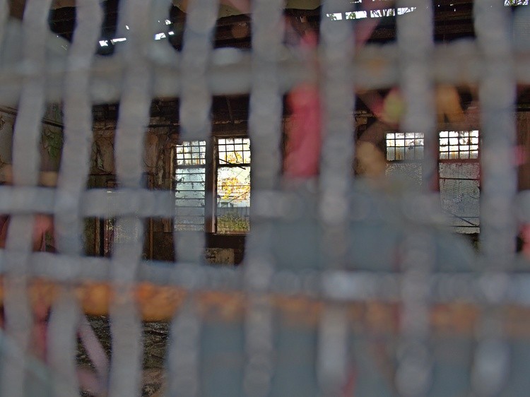 Caged Decay