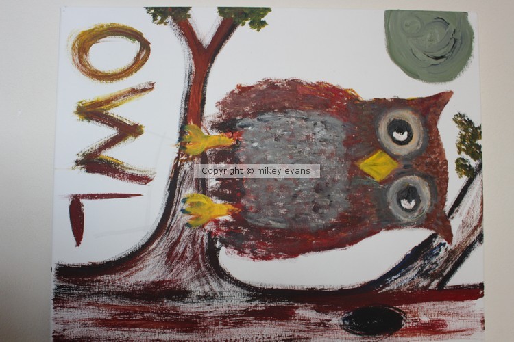 owl (1)