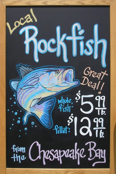 Rockin' the Rockfish!