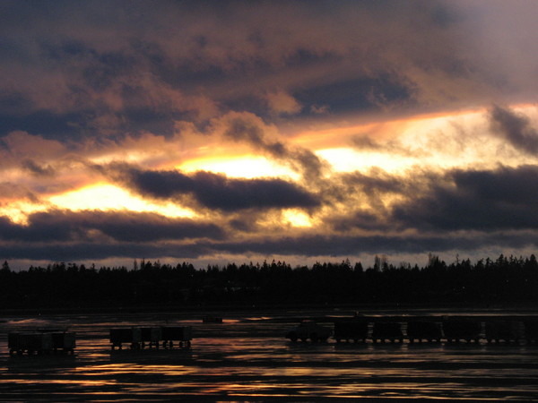 After Winter Rain