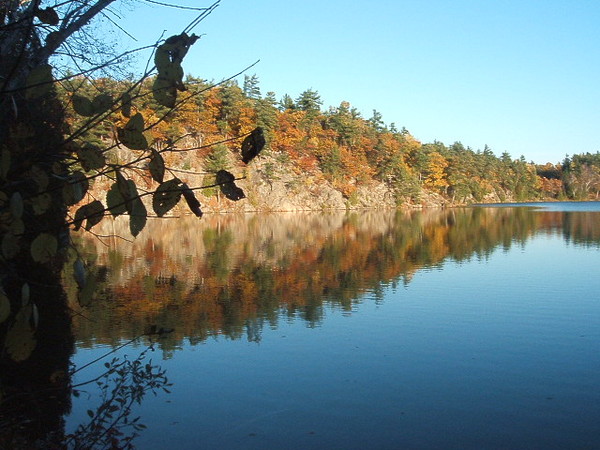 Gatineau Park