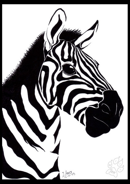 Stripes