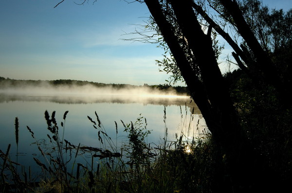 Morning Mist,Ice Lake, Michigan