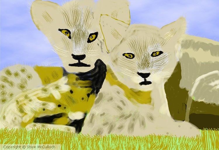 P171 sm Family of Lions